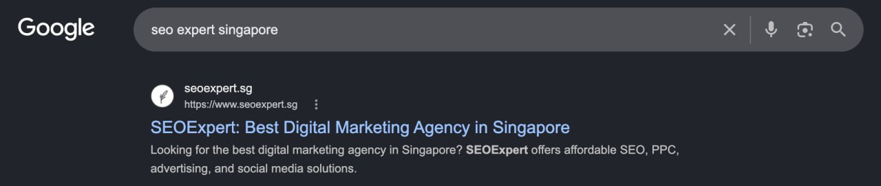 seoexpert.sg ranking number one on Google for the search seo expert singapore