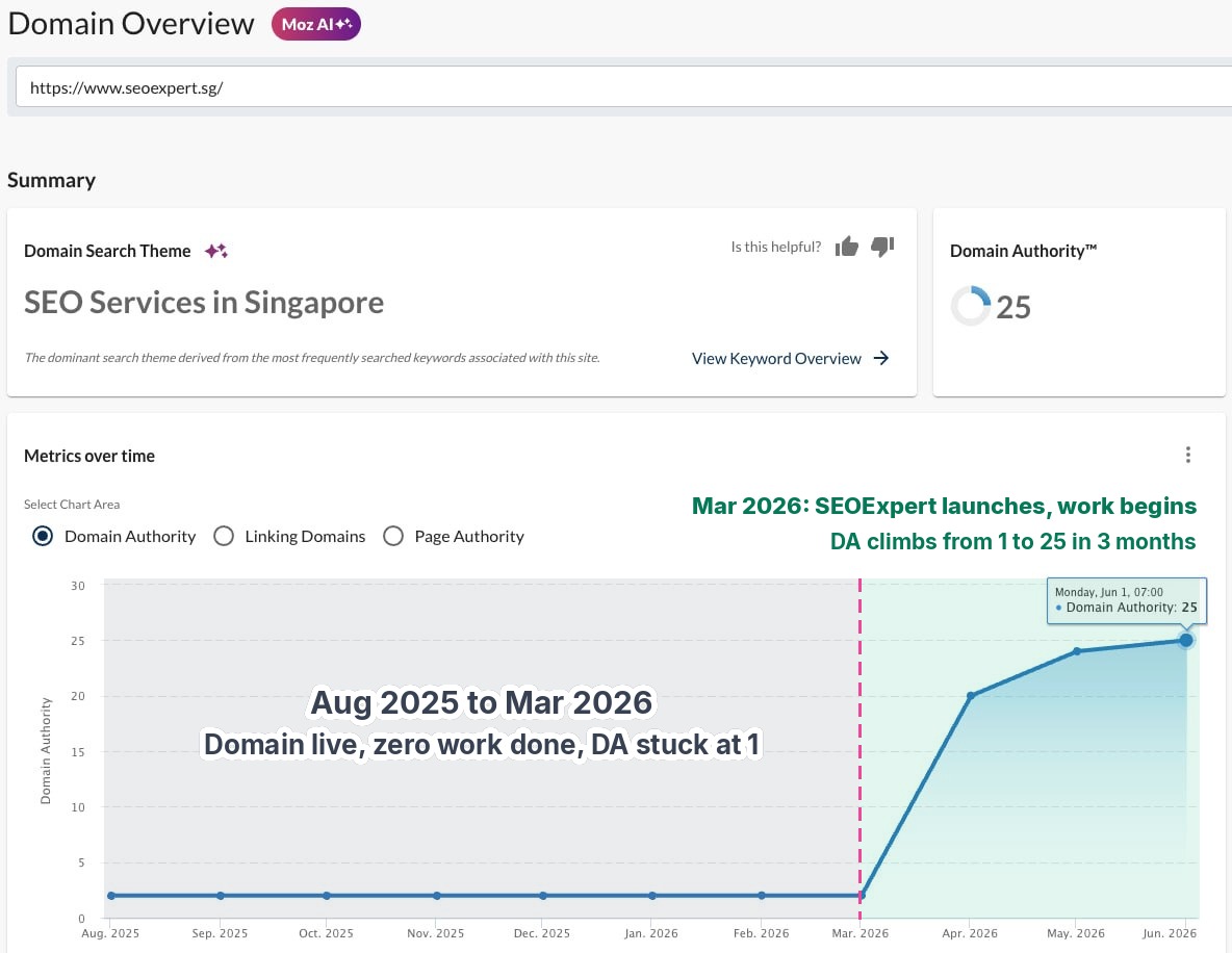 Our Perfect Domain Did Nothing for Seven Months