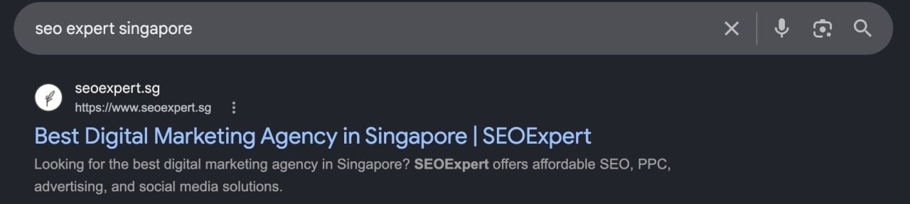 seoexpert.sg ranking first on Google for seo expert singapore